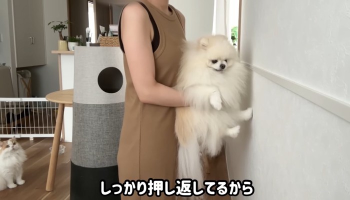 しっかり押し返してる