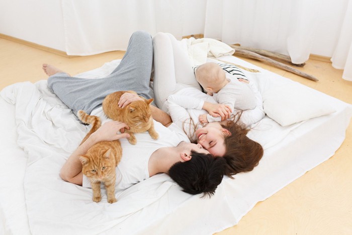 猫2匹と3人家族