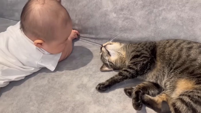 見つめ合うふたり