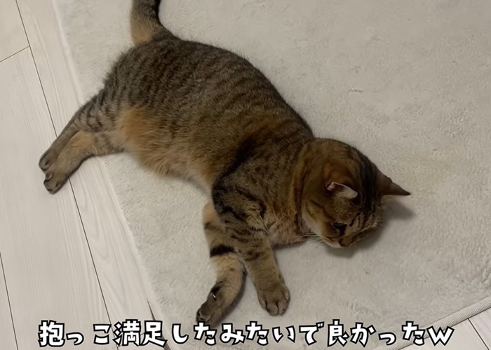 床で寛ぐ猫