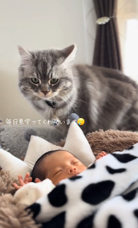 寝ている赤ちゃんを背後から見ている猫