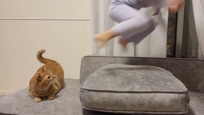 見上げる姿