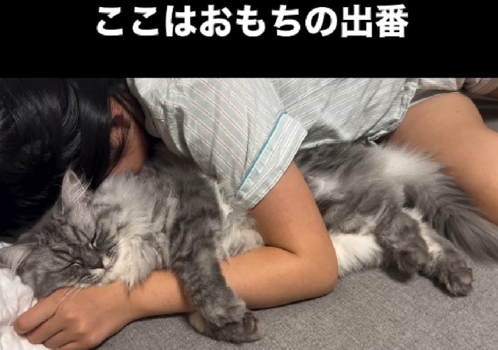 抱きしめられる猫