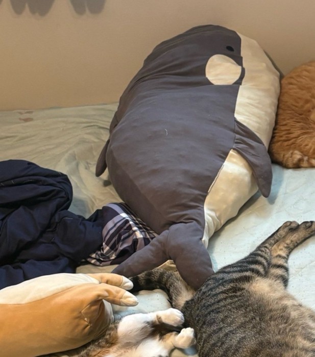 ベッドの抱き枕