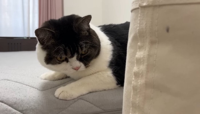 考え込むうま次郎くん