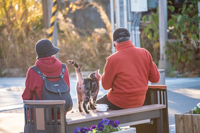 老夫婦と猫