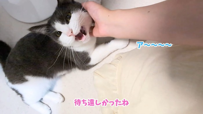 テロップ「待ち遠しかったね」