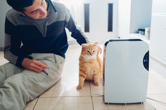 空気清浄機のそばにいる男性と猫