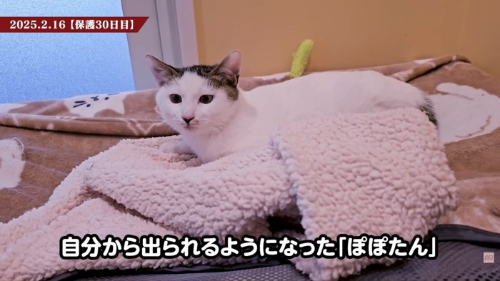 テロップ「自分から~」