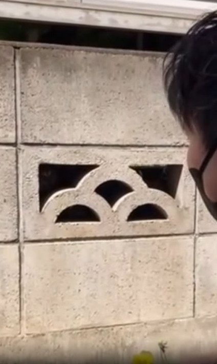 ブロック塀を見つめる主さん