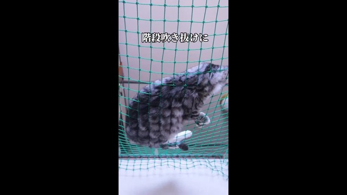 階段吹き抜けに