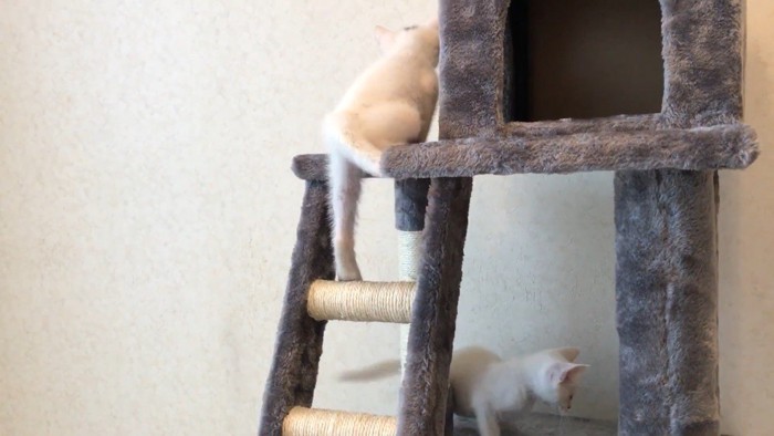 登る後ろ姿