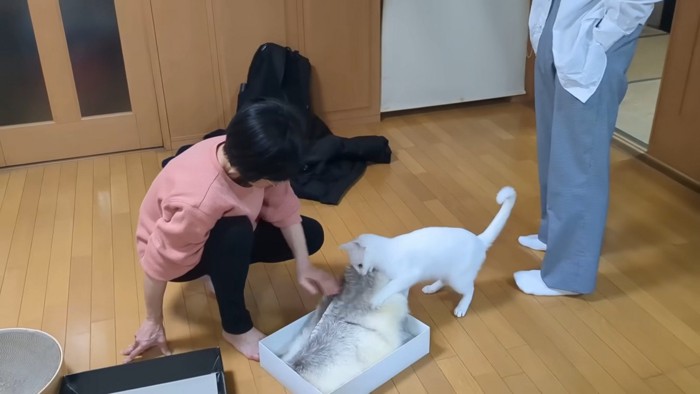 飛びついたシロちゃん