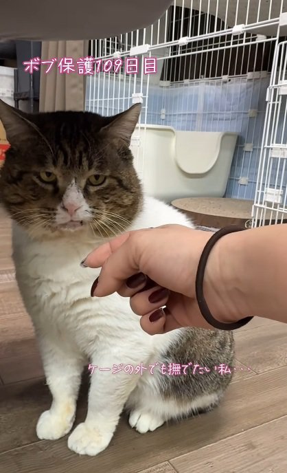 そろりそろり…