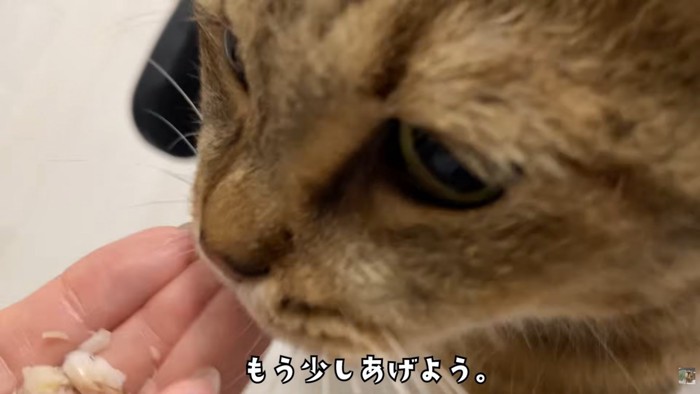 テロップ「もう少し~」