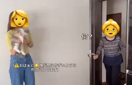 猫を抱っこする女性とおばあちゃん