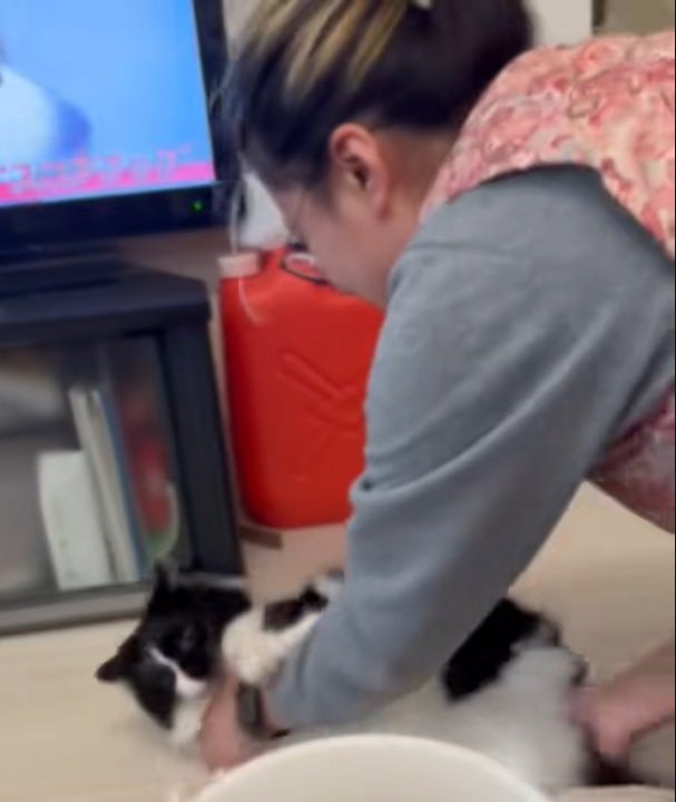 転がされるオレオくん