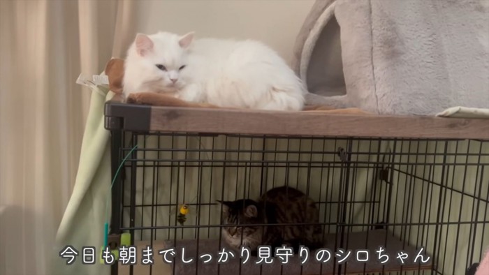 テロップ「今日も朝まで~」