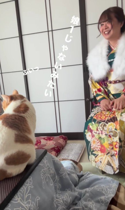 おばあちゃんと猫