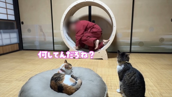 何してんだろね?