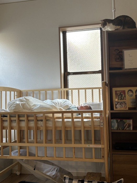 眠る赤ちゃんを上から見守る猫