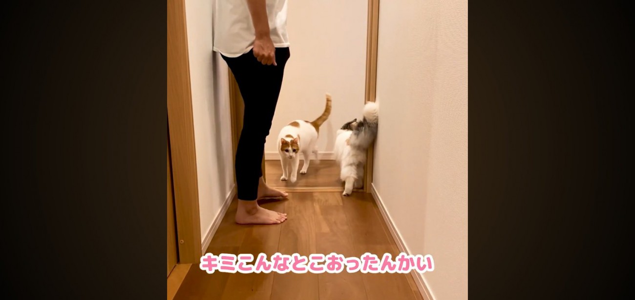 こんなとこおったんかい