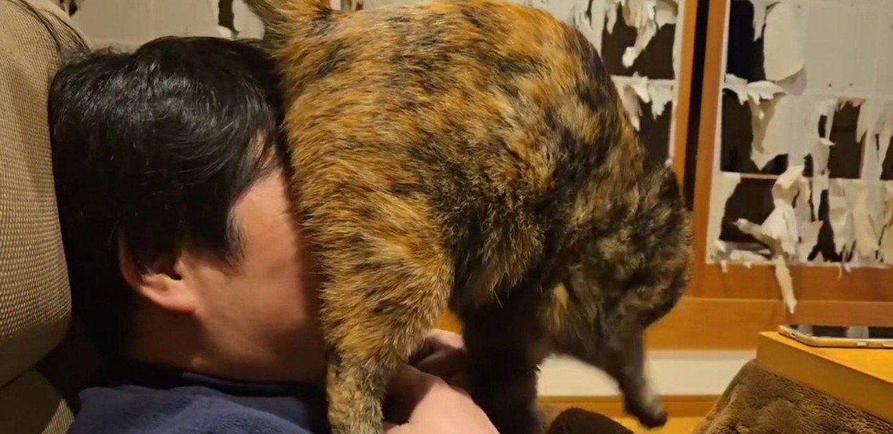 飼い主の顔におしりを押しつける猫