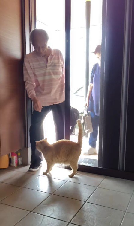 おじいちゃんを出迎える猫