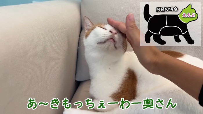 頭を撫でられる師匠