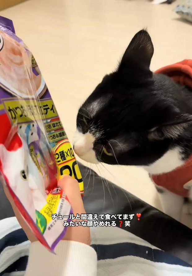 パッケージを見るオレオちゃん