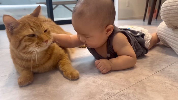 背中に手を置く赤ちゃん