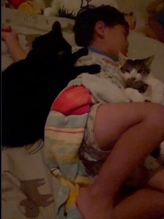 ぐっすり眠る4歳児に寄り添う猫3匹