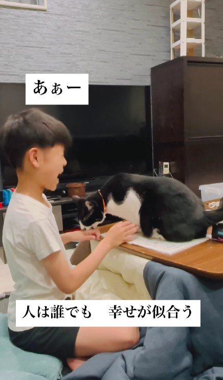宿題の邪魔をする猫