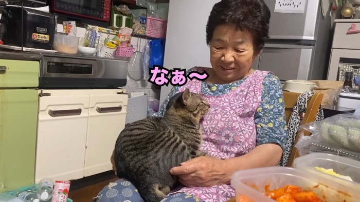 猫に話しかけるおばあちゃん