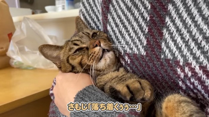 落ち着くぅぅ…