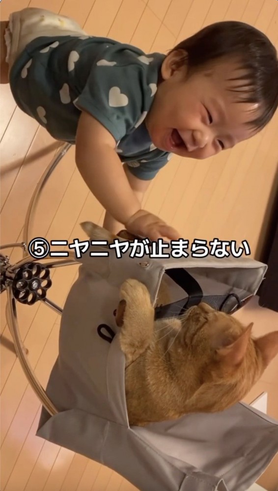 猫をみて笑う子供