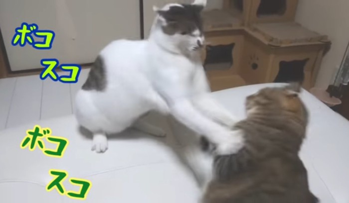 ボコスコボコスコ