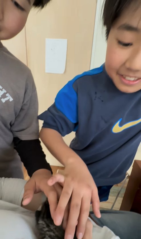 抱っこされている子猫を覗き込む子供「ヤバイの連呼」