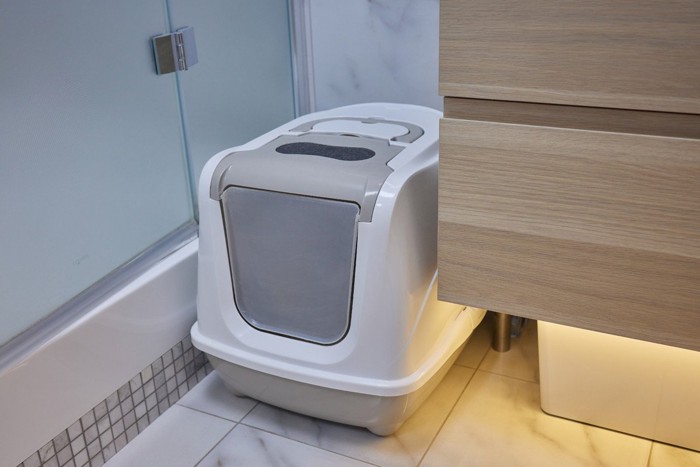 ウォッシュルームの猫トイレ