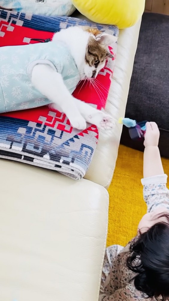 おもちゃを譲るキジ白猫とおもちゃを掴む赤ちゃん