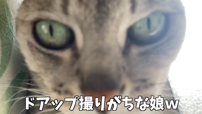 ドアップ撮りがち