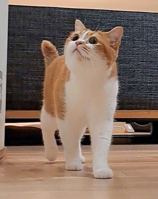 ドアを見るもなかくん