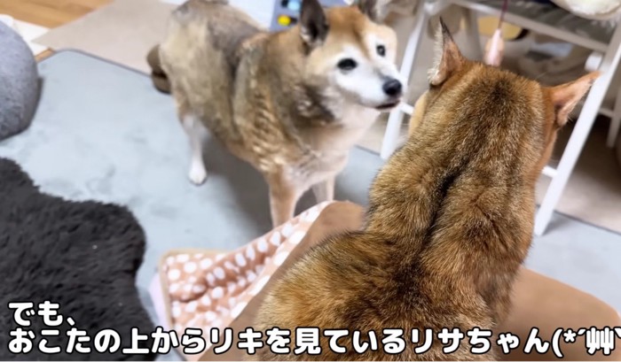 おこたのお上から降りてこないリサちゃん