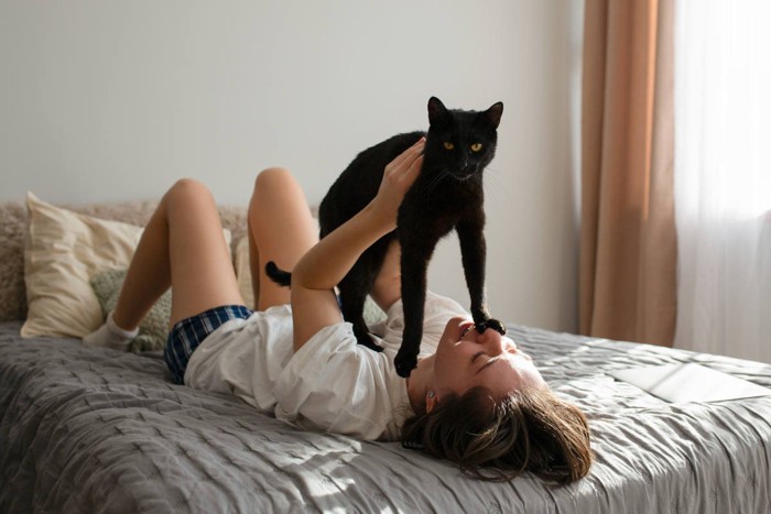 強引に飼い主を起こす黒猫