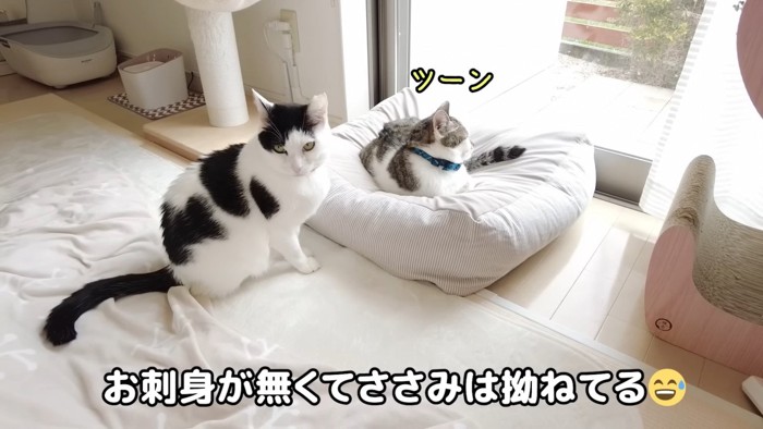 スネるささみくん