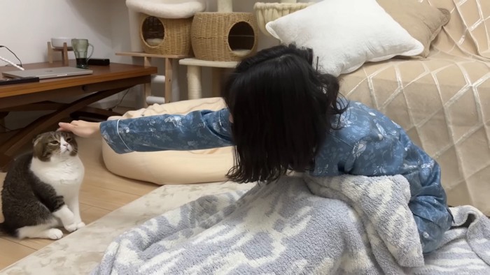 撫でてもらっているぽこ太郎くん