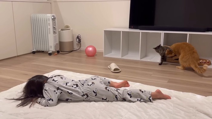 じゃれるふたり