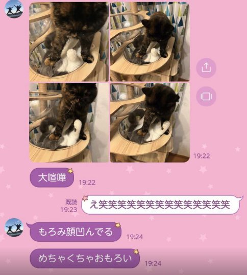 LINEのスクショ写真あり