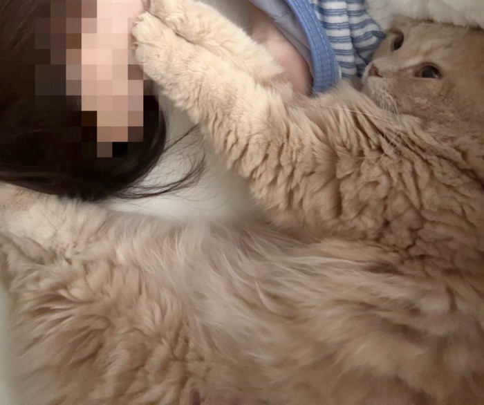 足で飼い主の頭を押さえる猫