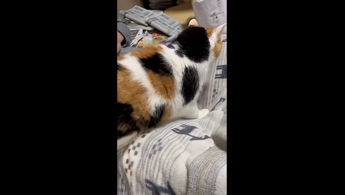 お父さんのひざへ入る